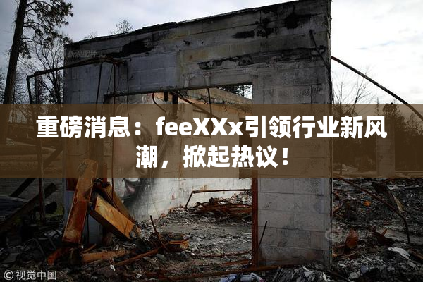 重磅消息：feeXXx引领行业新风潮，掀起热议！