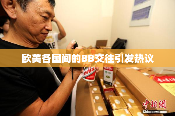 欧美各国间的BB交往引发热议