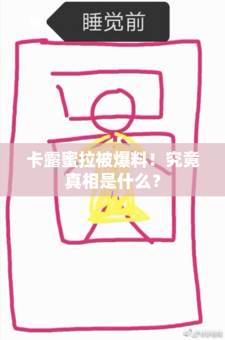 卡露蜜拉被爆料！究竟真相是什么？