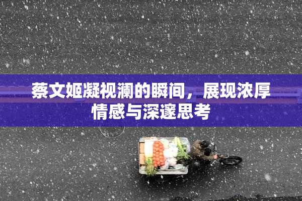 蔡文姬凝视澜的瞬间，展现浓厚情感与深邃思考