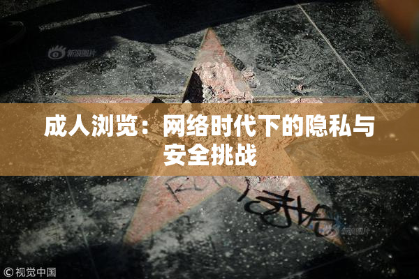 成人浏览：网络时代下的隐私与安全挑战