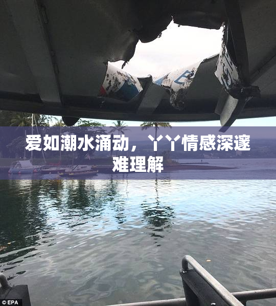 爱如潮水涌动，丫丫情感深邃难理解