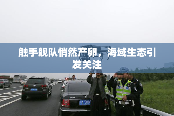 触手舰队悄然产卵，海域生态引发关注