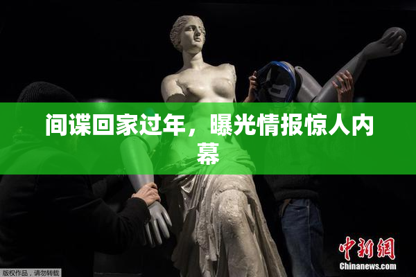 间谍回家过年，曝光情报惊人内幕