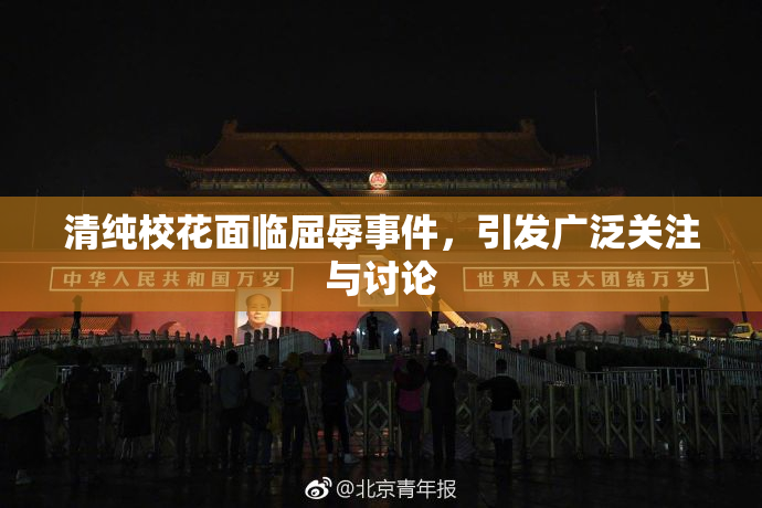 清纯校花面临屈辱事件，引发广泛关注与讨论