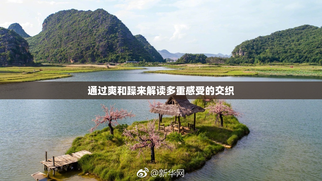 通过爽和躁来解读多重感受的交织