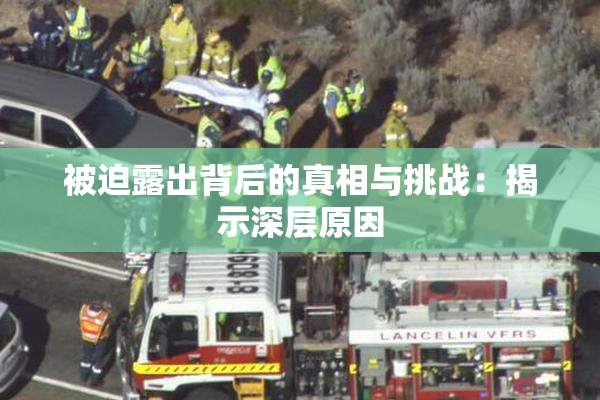 被迫露出背后的真相与挑战：揭示深层原因