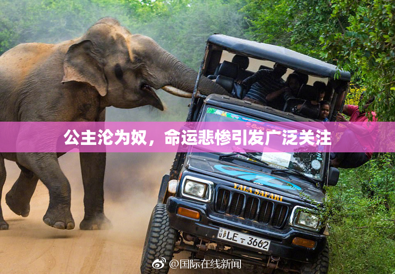 公主沦为奴，命运悲惨引发广泛关注