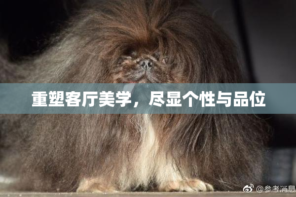 重塑客厅美学，尽显个性与品位