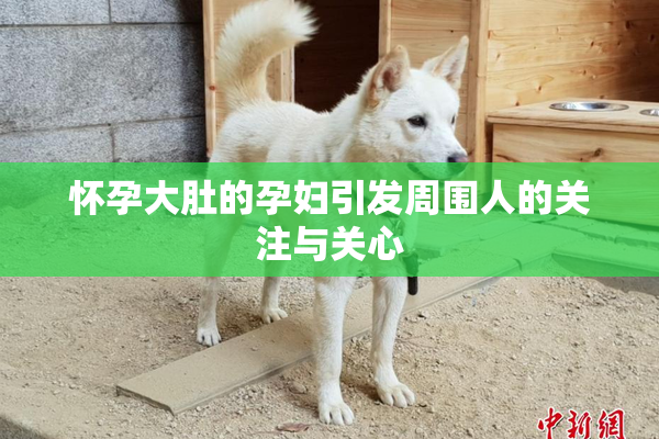 怀孕大肚的孕妇引发周围人的关注与关心