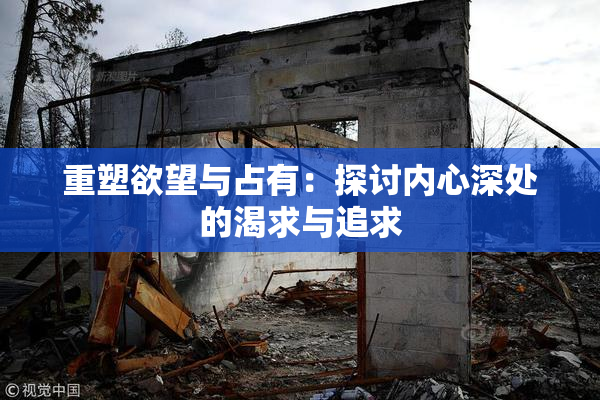 重塑欲望与占有：探讨内心深处的渴求与追求