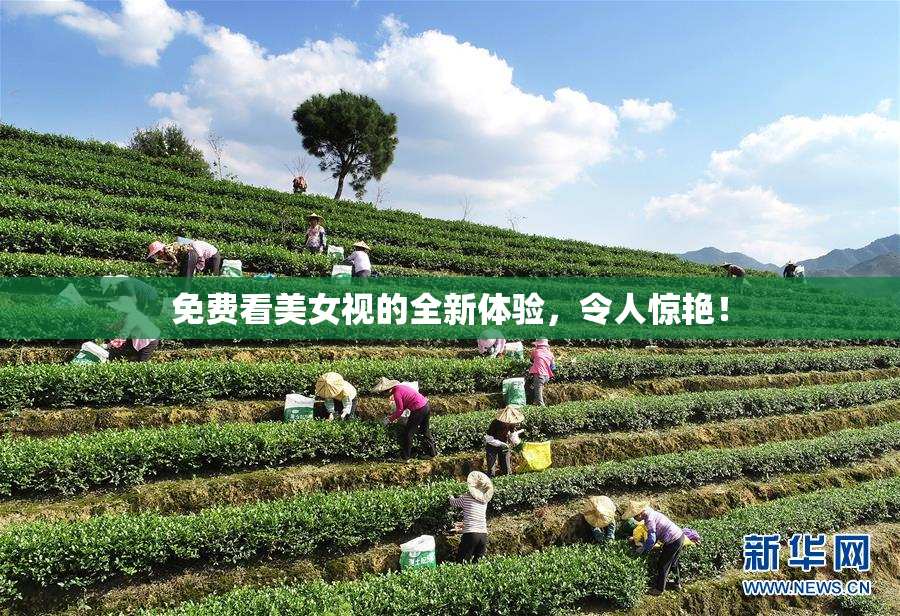 免费看美女视的全新体验，令人惊艳！