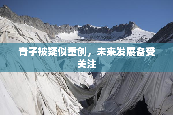 青子被疑似重创，未来发展备受关注