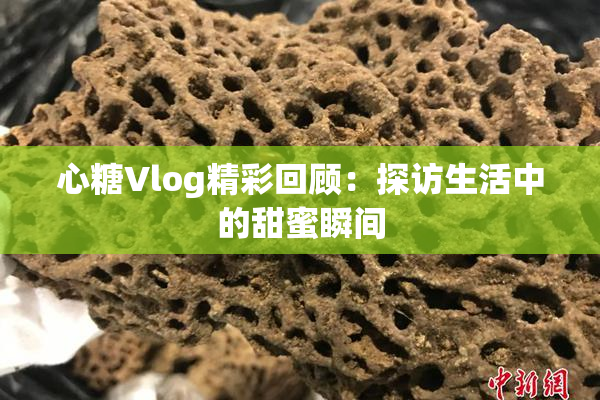 心糖Vlog精彩回顾：探访生活中的甜蜜瞬间