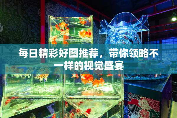 每日精彩好图推荐，带你领略不一样的视觉盛宴