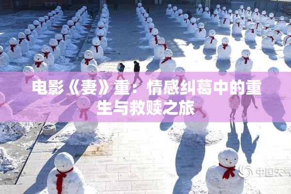 电影《妻》重：情感纠葛中的重生与救赎之旅