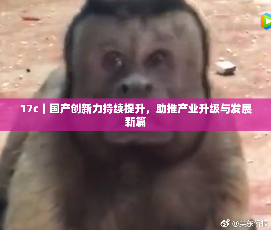 17c丨国产创新力持续提升，助推产业升级与发展新篇