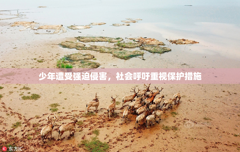 少年遭受强迫侵害，社会呼吁重视保护措施