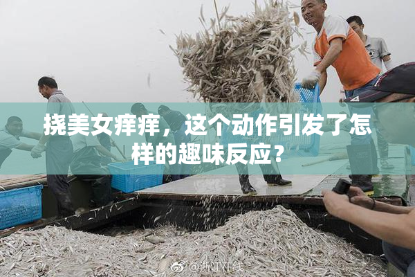 挠美女痒痒，这个动作引发了怎样的趣味反应？