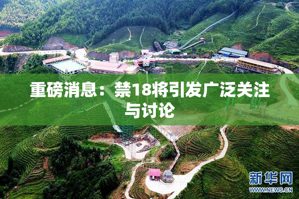 重磅消息：禁18将引发广泛关注与讨论