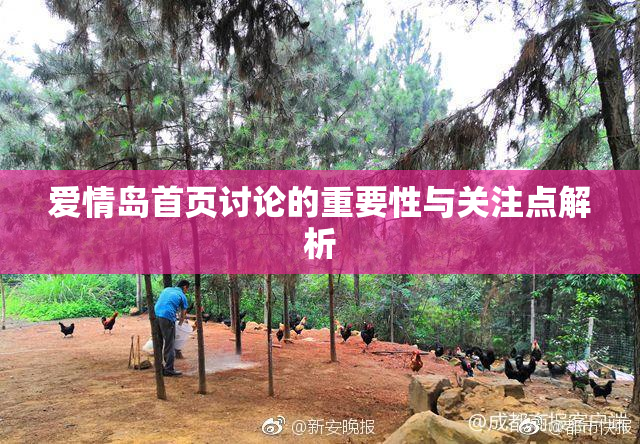 爱情岛首页讨论的重要性与关注点解析