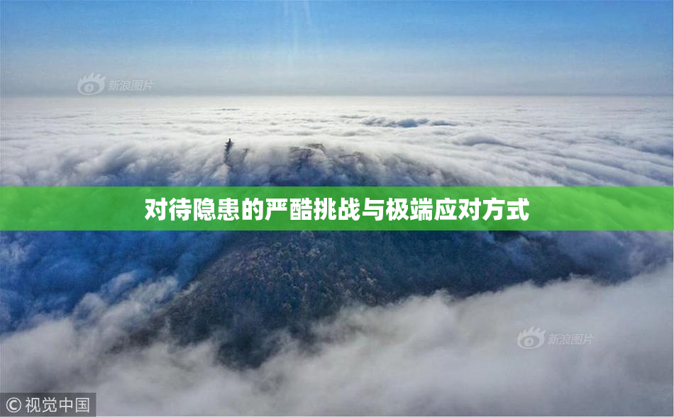 对待隐患的严酷挑战与极端应对方式