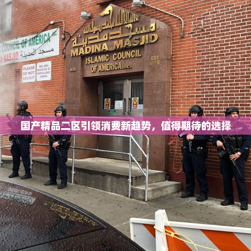 国产精品二区引领消费新趋势，值得期待的选择