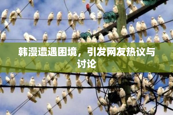 韩漫遭遇困境，引发网友热议与讨论