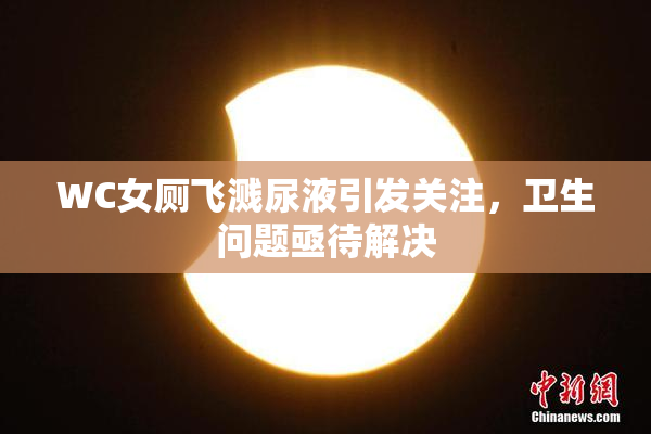 WC女厕飞溅尿液引发关注，卫生问题亟待解决