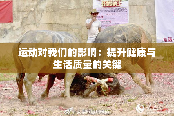运动对我们的影响：提升健康与生活质量的关键