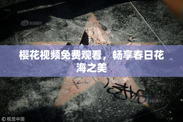 樱花视频免费观看，畅享春日花海之美