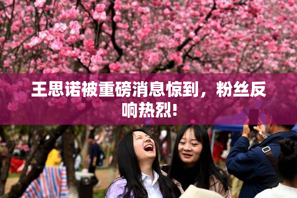王思诺被重磅消息惊到，粉丝反响热烈!