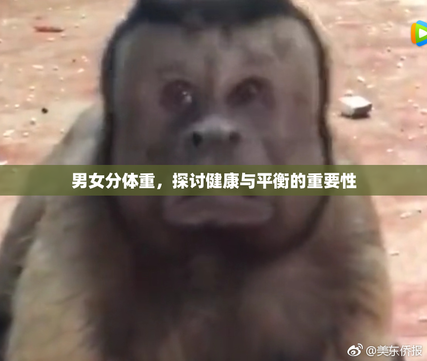 男女分体重，探讨健康与平衡的重要性