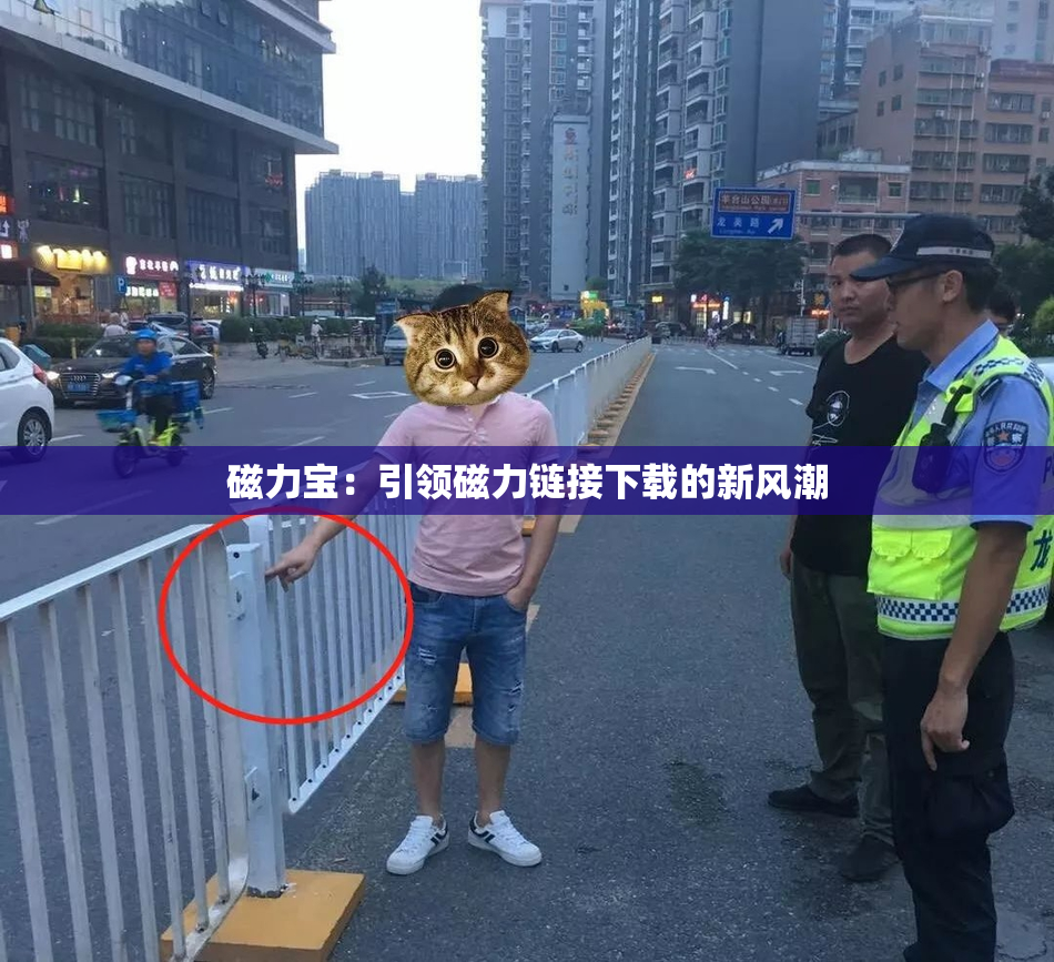 磁力宝：引领磁力链接下载的新风潮