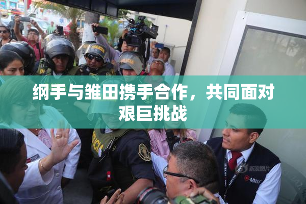 纲手与雏田携手合作，共同面对艰巨挑战