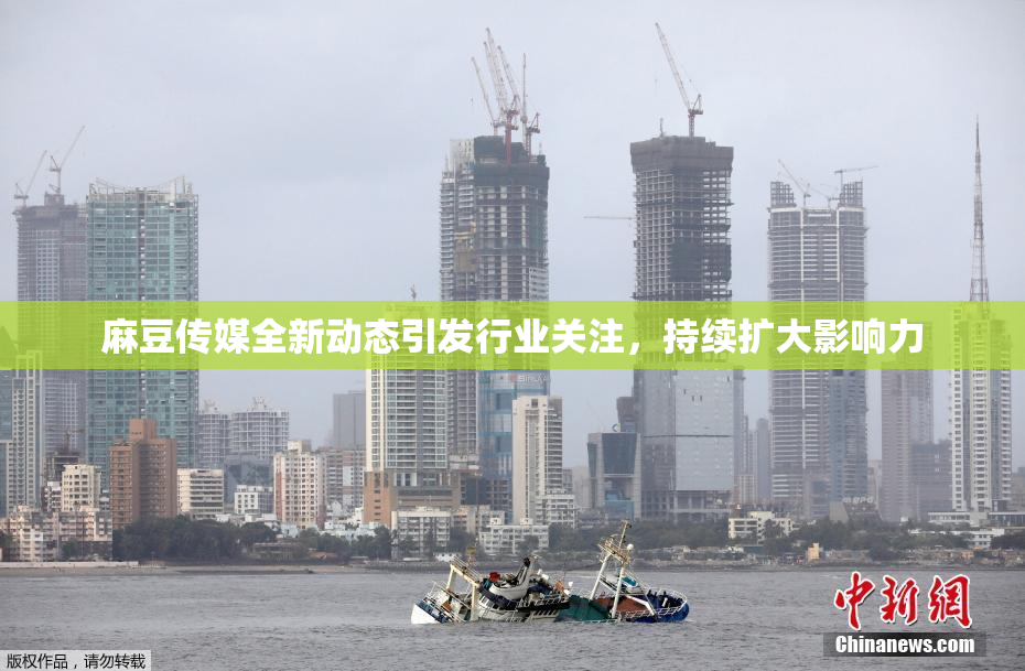 麻豆传媒全新动态引发行业关注，持续扩大影响力
