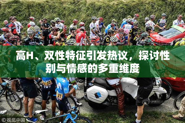 高H、双性特征引发热议，探讨性别与情感的多重维度