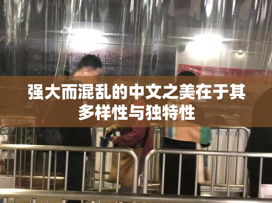 强大而混乱的中文之美在于其多样性与独特性