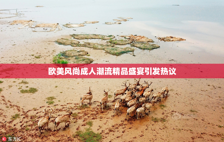 欧美风尚成人潮流精品盛宴引发热议