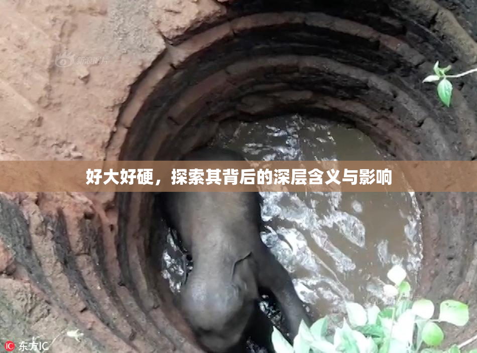 好大好硬，探索其背后的深层含义与影响