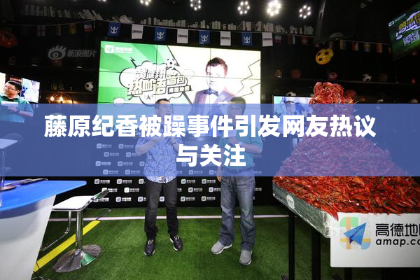 藤原纪香被躁事件引发网友热议与关注
