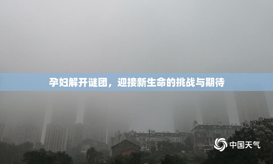 孕妇解开谜团，迎接新生命的挑战与期待