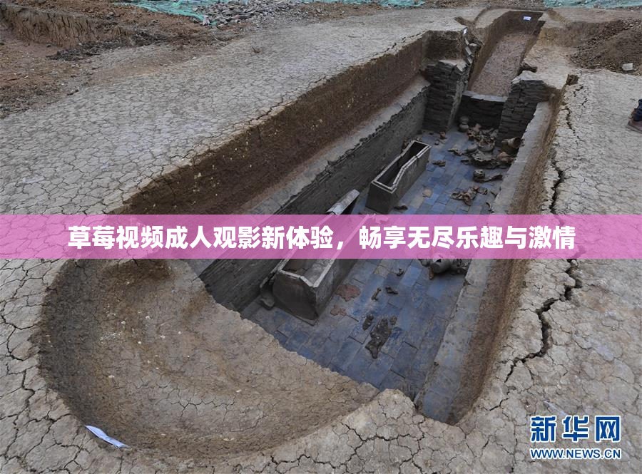 草莓视频成人观影新体验，畅享无尽乐趣与激情