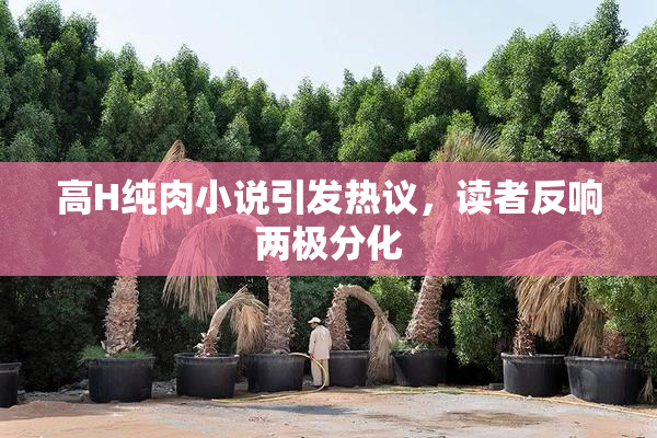 高H纯肉小说引发热议，读者反响两极分化