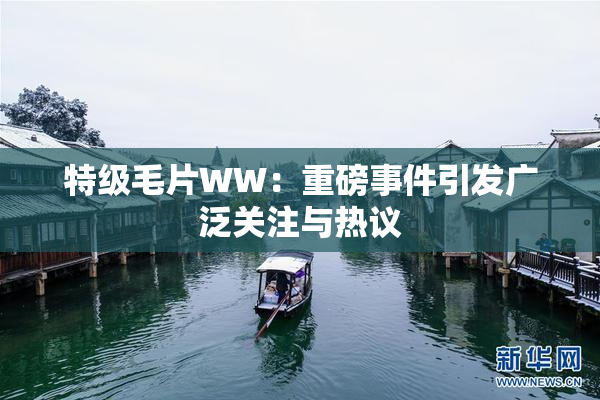 特级毛片WW：重磅事件引发广泛关注与热议