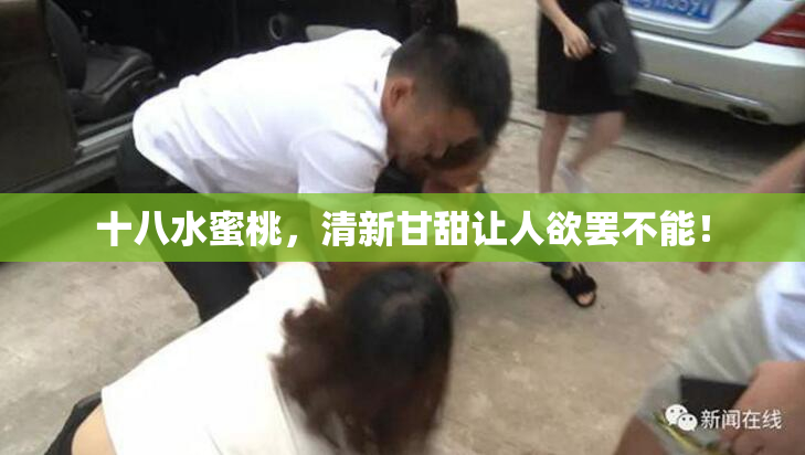 十八水蜜桃，清新甘甜让人欲罢不能！
