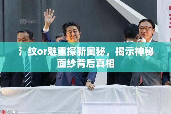 氵纹or魅重探新奥秘，揭示神秘面纱背后真相