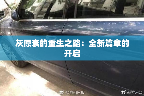 灰原衰的重生之路：全新篇章的开启
