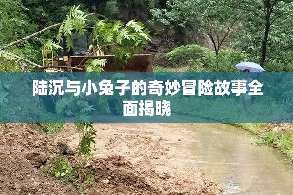 陆沉与小兔子的奇妙冒险故事全面揭晓