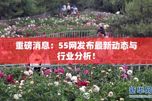 重磅消息：55网发布最新动态与行业分析！